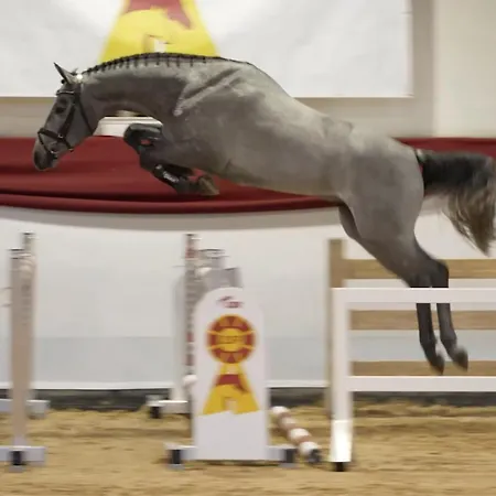 Garni Hubertushof * Bad Füssing