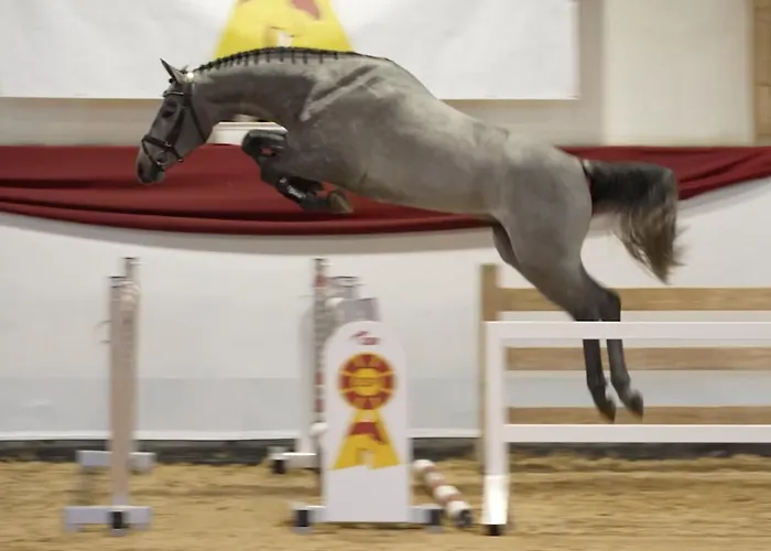 Garni Hubertushof * Bad Füssing